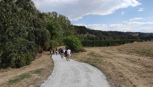 Foto di 'Percorsi ciclopedonali nel parco fluviale del Savio - verso il monte'